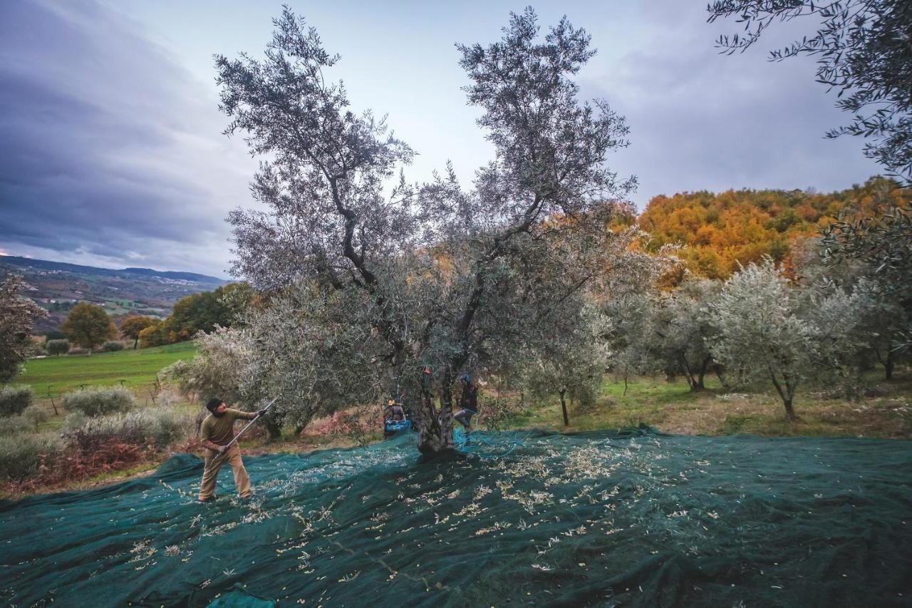 Agriturismo Bellofatto Torella dei Lombardi Eksteriør bilde