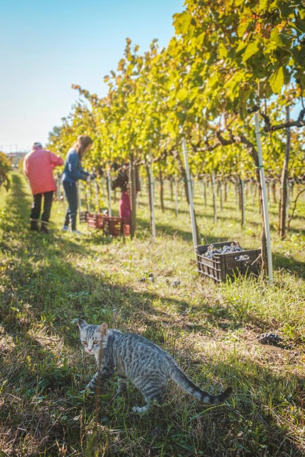 Agriturismo Bellofatto Torella dei Lombardi Eksteriør bilde