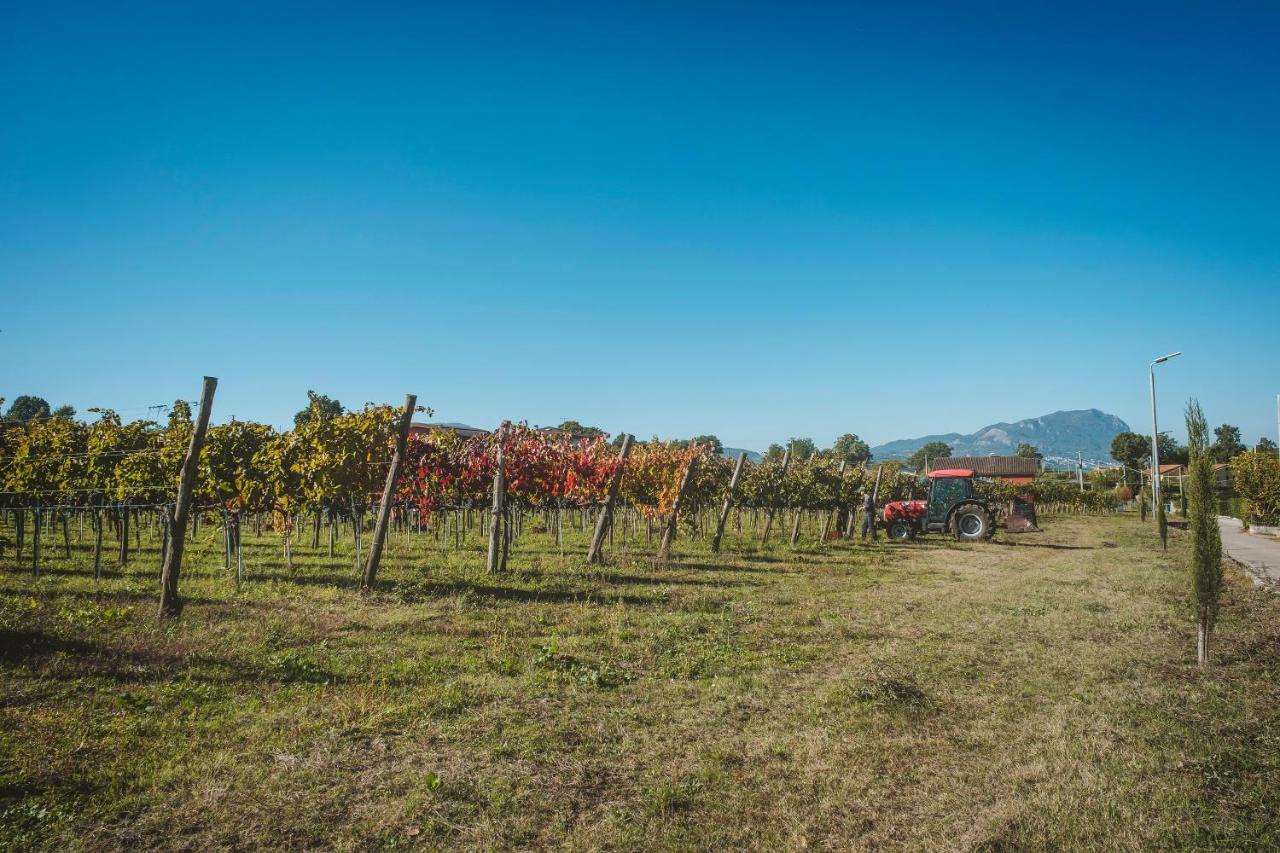 Agriturismo Bellofatto Torella dei Lombardi Eksteriør bilde